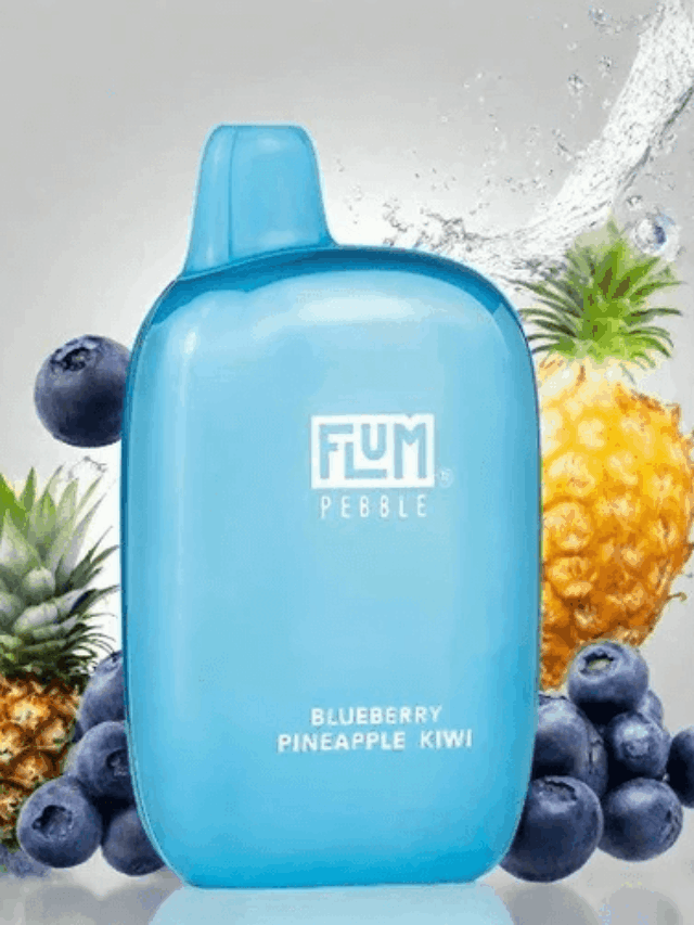 Flum Pebble Is Selling Out — 5 Things You Must Know